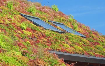 Knightley living roof systems